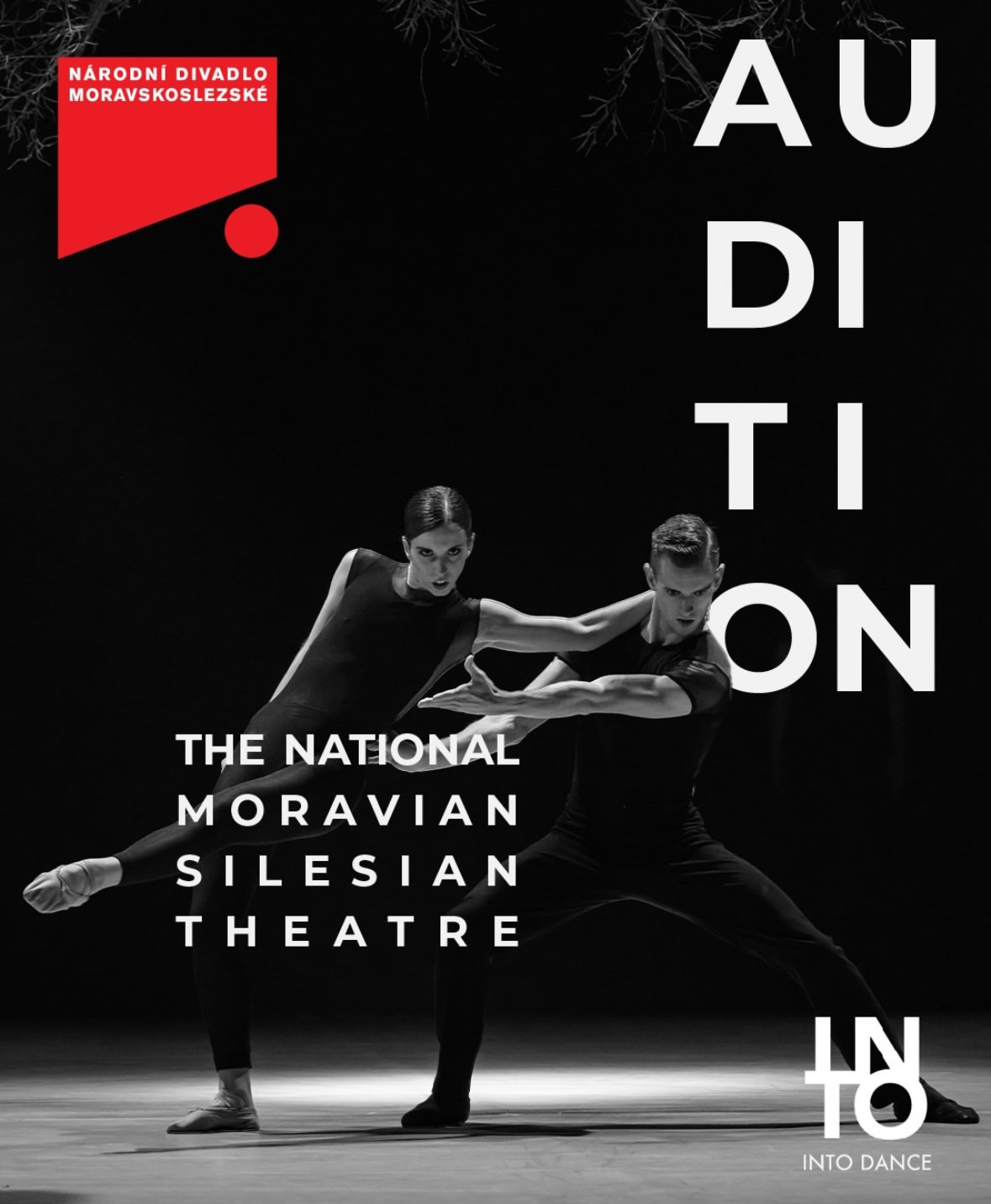 The National Moravian-Silesian Theatre Audition (March 2026)